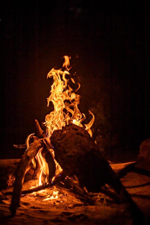 Готель Yala Eco Bush Camp Екстер'єр фото