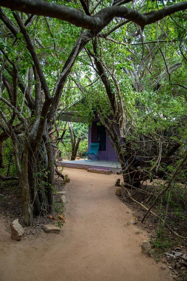 Готель Yala Eco Bush Camp Екстер'єр фото