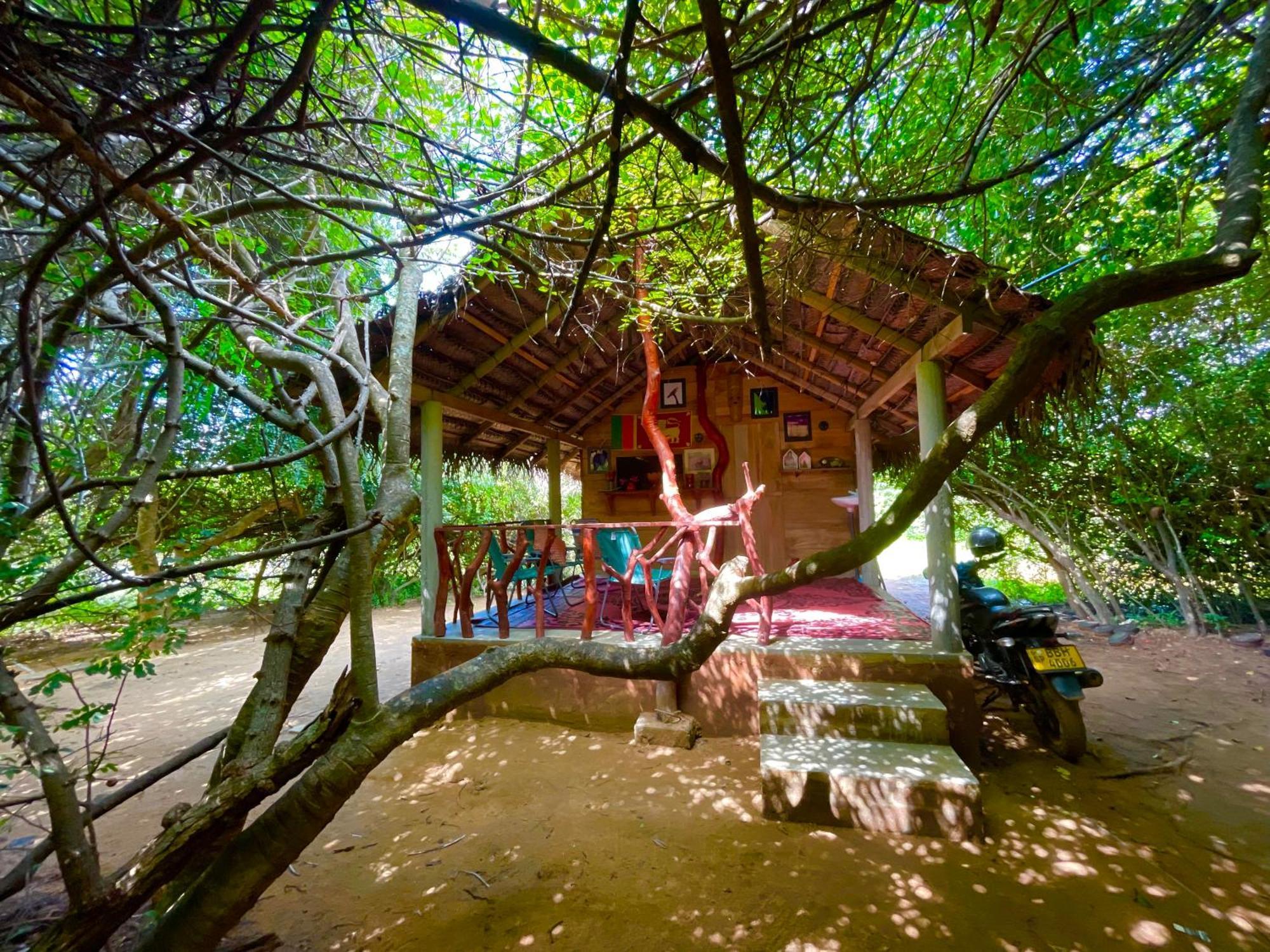 Готель Yala Eco Bush Camp Екстер'єр фото