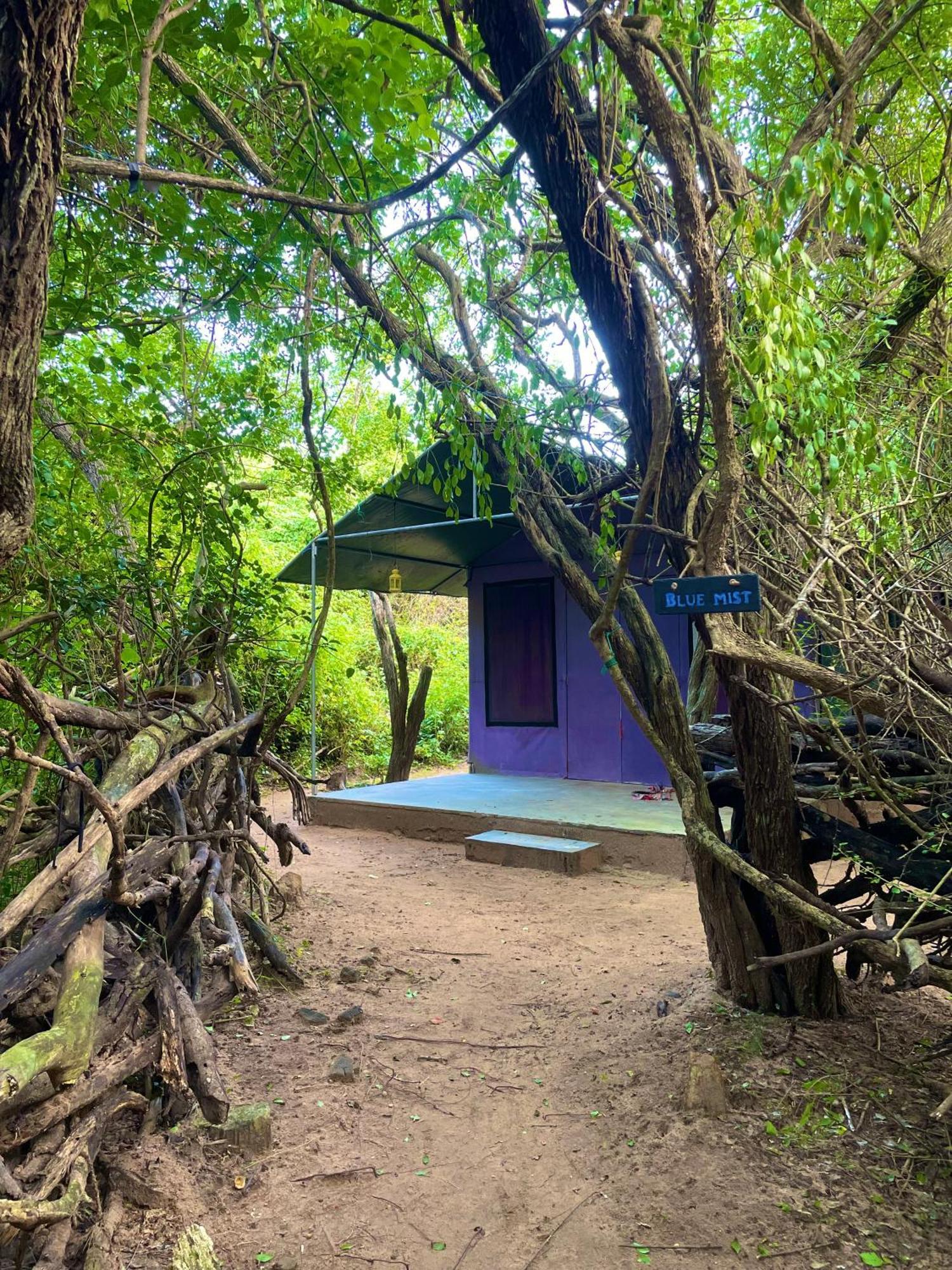 Готель Yala Eco Bush Camp Екстер'єр фото