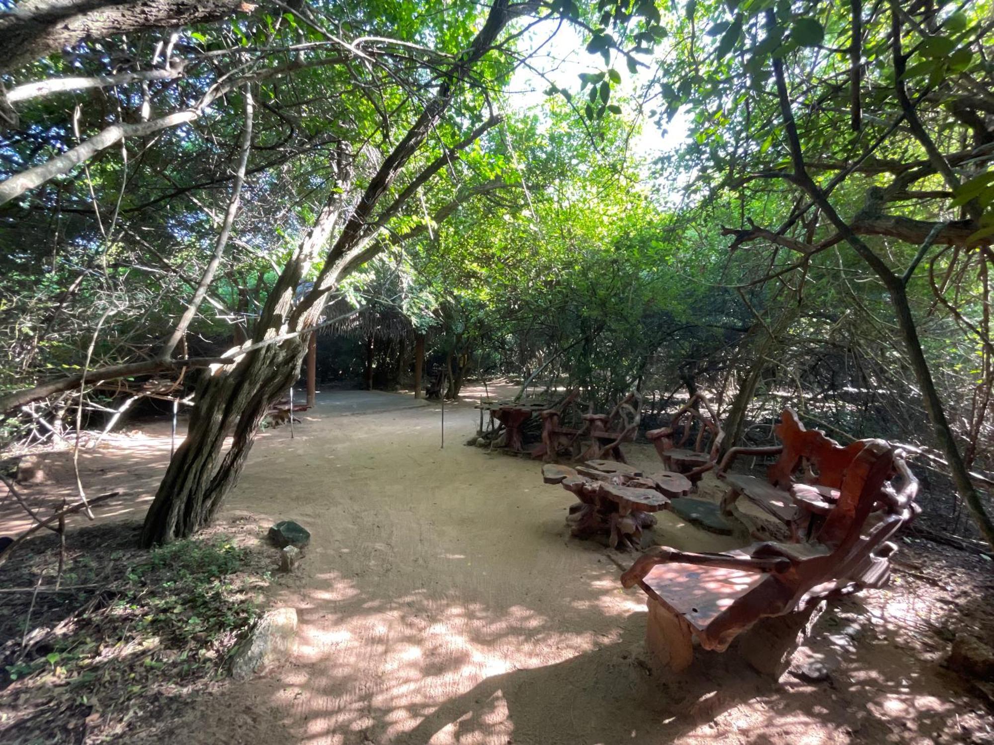 Готель Yala Eco Bush Camp Екстер'єр фото