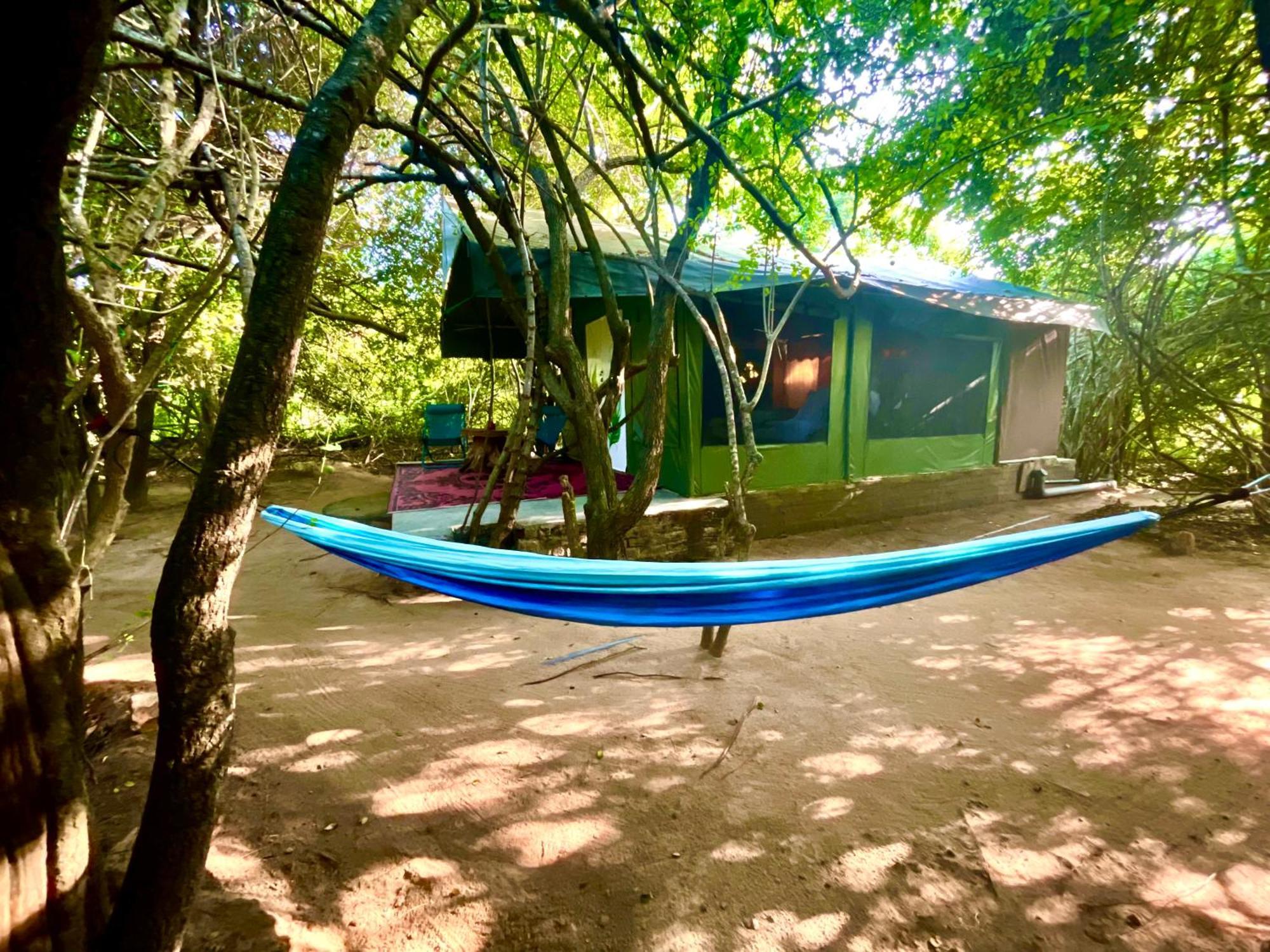 Готель Yala Eco Bush Camp Екстер'єр фото