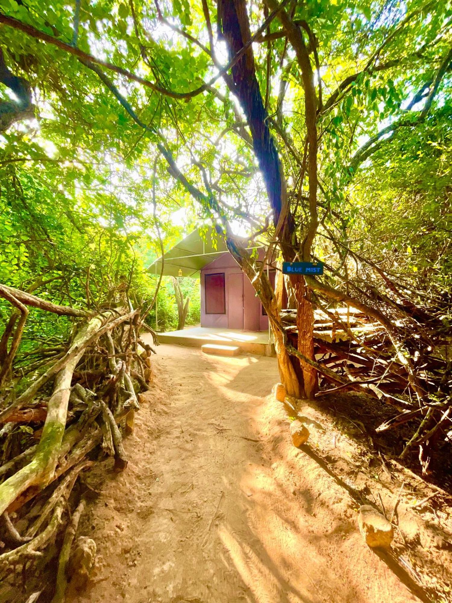 Готель Yala Eco Bush Camp Екстер'єр фото