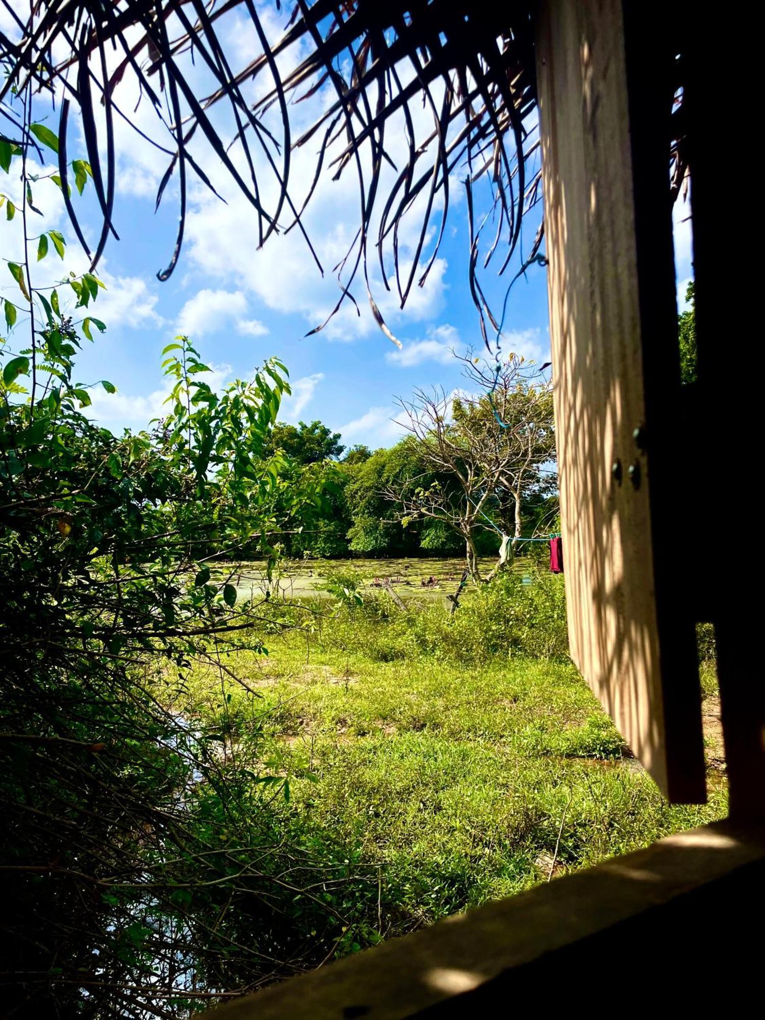 Готель Yala Eco Bush Camp Екстер'єр фото