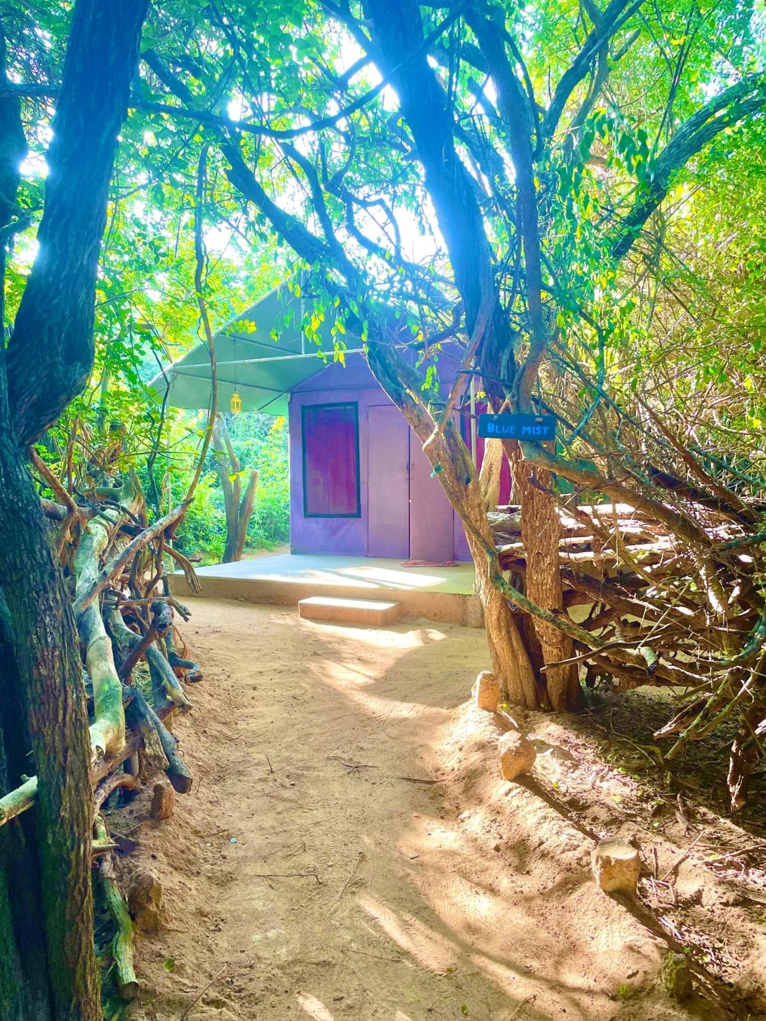 Готель Yala Eco Bush Camp Екстер'єр фото
