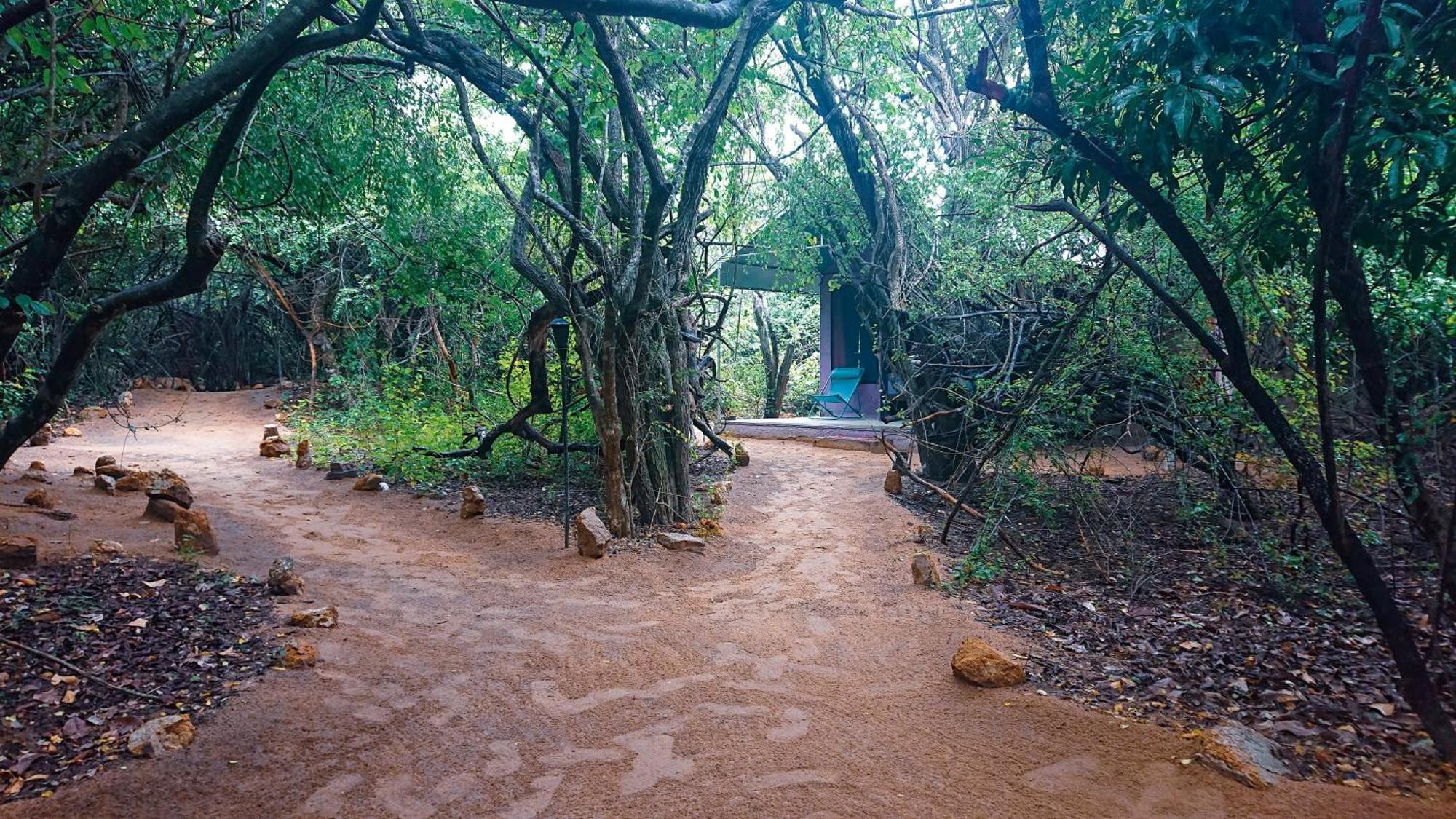 Готель Yala Eco Bush Camp Екстер'єр фото