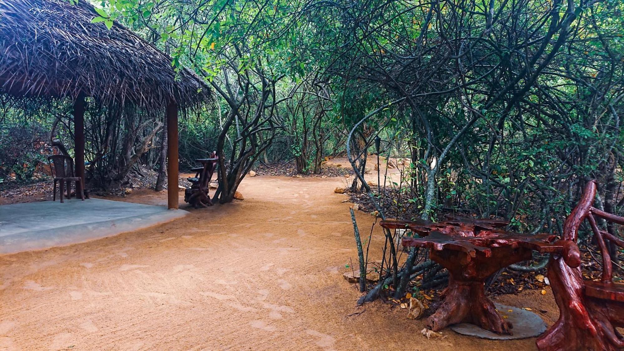 Готель Yala Eco Bush Camp Екстер'єр фото