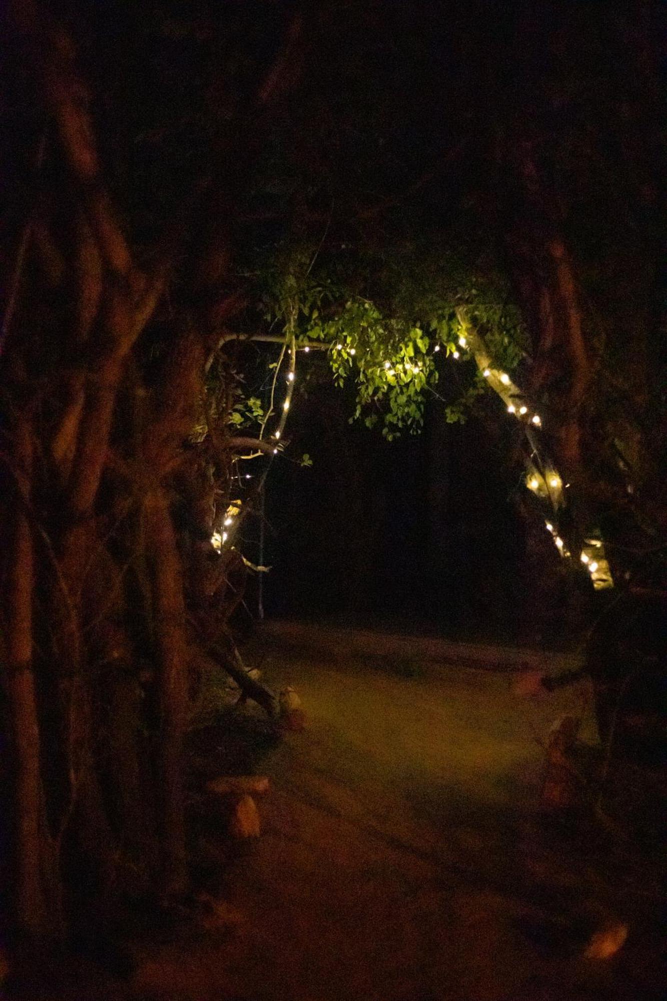 Готель Yala Eco Bush Camp Екстер'єр фото